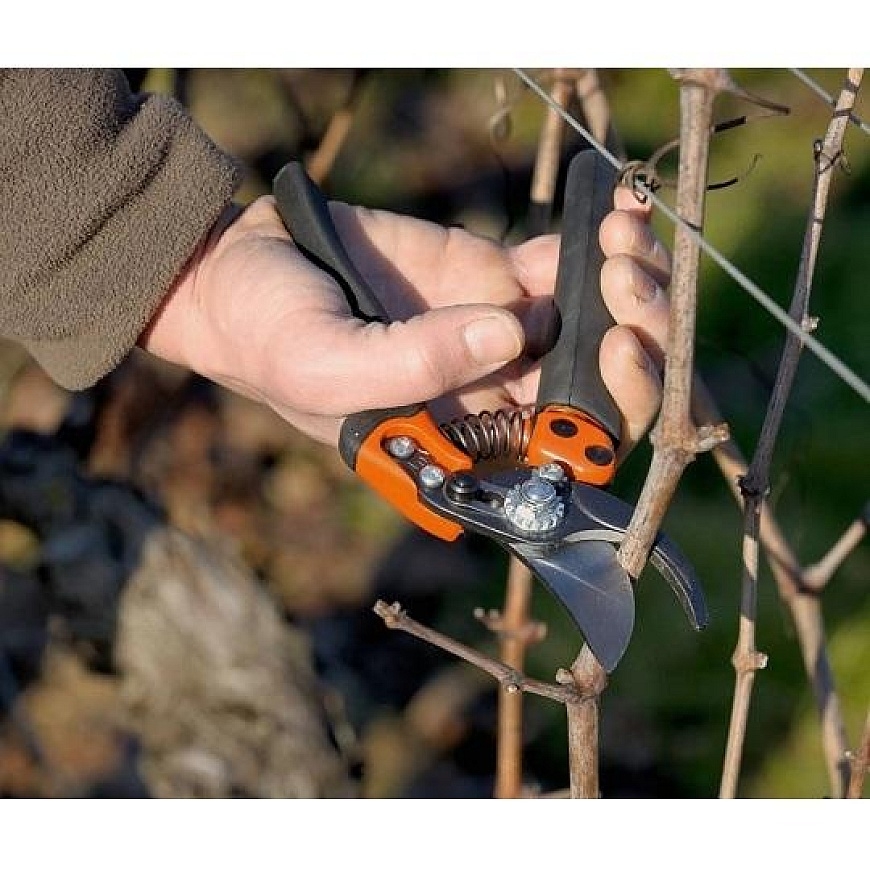 Bahco Profesionalus, ergoniminis sekatorius su pasisukančia apatine ranenėle. Vidutinei rankai, 3 dydžio galva (iki 30 mm). Viso – 3
