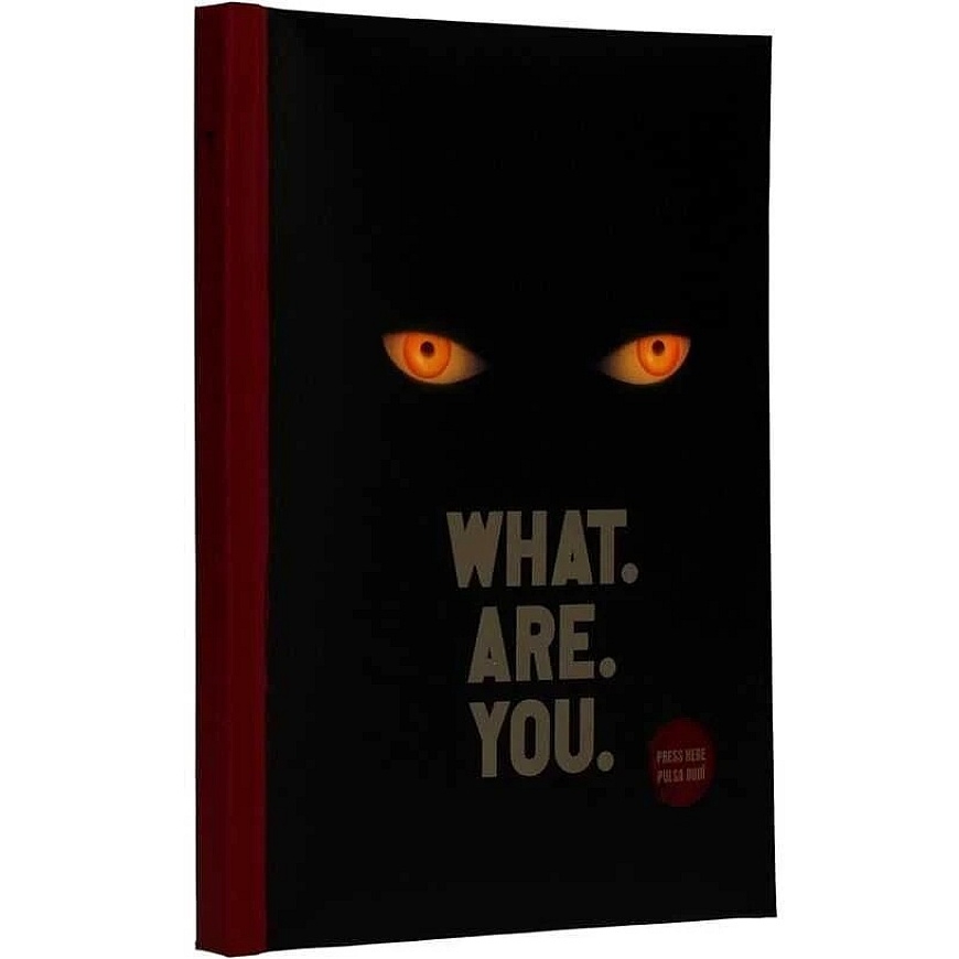 Sd Toys IT Welcome To Derry Notebook with light + keychain – 2