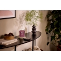 Woodwick Tume kirsi Woodwick Tume kirsi