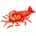 Lean Toys Pehmeä lelu - katkarapu, 55 cm Lean Toys Pehmeä lelu - katkarapu, 55 cm