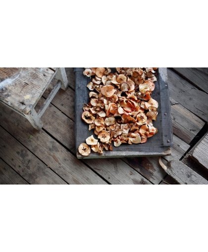 Fruit and mushroom dryer MPM MSG-03 – 3