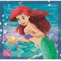 Clementoni Mīklu 3x48 gab. - Disneja princese Clementoni Mīklu 3x48 gab. - Disneja princese