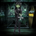 Коллекционная кукла "Mattel Monster High x Universal Monsters Фрankenstein", ~27 см