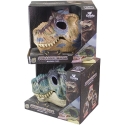 Koala Jurassic ajastu Tyrannosauruse mask helidega, juhuslik värv