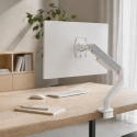 Powerton ERGO MONOA Regulējams monitora turētājs, balts, 2-20KG, skava, 17"-49", 75x75/100x100 Powerton ERGO MONOA Regulējams monitora turētājs, balts, 2-20KG, skava, 17"-49", 75x75/100x100