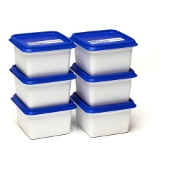 Alaska Pakastimen Säiliöt 6x200ml / Amuse