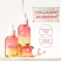 I.ST Collagen VC Tangle Ampulė Anti-Aging Kasdienis veido serumas, 30 ml I.ST Collagen VC Tangle Ampulė Anti-Aging Kasdienis veido serumas, 30 ml