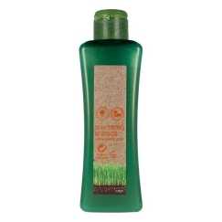 Värvi rõhutav šampoon Biokera Natura Salerm Makadamiia (300 ml)