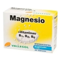 Vallesol Efervescens Magnis B 24 vnt. Vallesol Efervescens Magnis B 24 vnt.