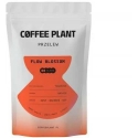 Kavos pupelės „Coffee Plant FLOW Blossom“ 100 g Kavos pupelės „Coffee Plant FLOW Blossom“ 100 g