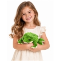 Lean Toys Pliušinė varlė su apsunkinimo granulėmis, žalia ir kreminė, 26 × 16 × 8 cm Lean Toys Pliušinė varlė su apsunkinimo granulėmis, žalia ir kreminė, 26 × 16 × 8 cm