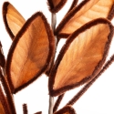 Eurofirany KW/FLORE/892/BR Bronzas Eurofirany KW/FLORE/892/BR Bronzas