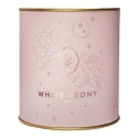 Baltais tējas Lune Tea Baltais peoniju tēja, 30 g Baltais tējas Lune Tea Baltais peoniju tēja, 30 g