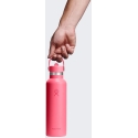 Hydro Flask Standard Mouth Flex pilli kansi Popstar Vaaleanpunainen termospullo, 621 ml Hydro Flask Standard Mouth Flex pilli kansi Popstar Vaaleanpunainen termospullo, 621 ml