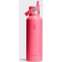 Hydro Flask Standard Mouth Flex Straw Lid Popstar Pink Thermos Bottle, 621 ml Hydro Flask Standard Mouth Flex Straw Lid Popstar Pink Thermos Bottle, 621 ml