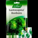 A. VOGEL Vogel Šokoladai Santasapina 100g