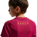 Nike FC Barcelona Strike lasten T-paita bordaux II3237 621 (L) Nike FC Barcelona Strike lasten T-paita bordaux II3237 621 (L)