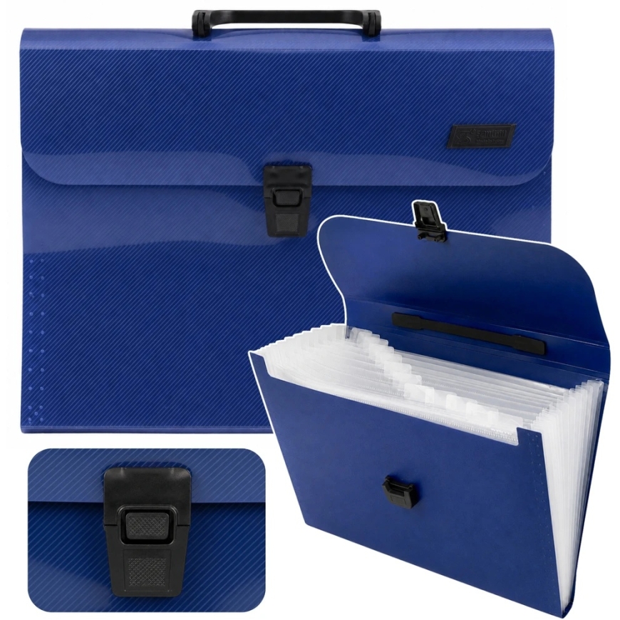 Lean Accordion Folder Document Organizer Laikiklis 13 Compartments Blue A4