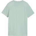 Puma ESS Centered Cat Logo Tee for Kids Mint 692972 29 (164cm) Puma ESS Centered Cat Logo Tee for Kids Mint 692972 29 (164cm)
