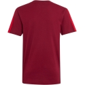 Bērnu T-krekls adidas Arsenal FC bordo KG5137 (164cm) Bērnu T-krekls adidas Arsenal FC bordo KG5137 (164cm)