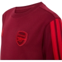 Marškinėliai vaikams adidas Arsenal FC bordinė KG5137 (164cm) Marškinėliai vaikams adidas Arsenal FC bordinė KG5137 (164cm)