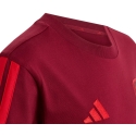 Lasten t-paita adidas Arsenal FC burgundy KG5137 (164 cm) Lasten t-paita adidas Arsenal FC burgundy KG5137 (164 cm)