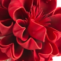 Eurofirany KW/FLORE/828/JUN Punainen Eurofirany KW/FLORE/828/JUN Punainen