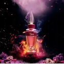 Harry Potter Magical Essence Courage EDP naiste parfüüm, 30 ml