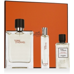 Hermès Terre D'Hermès EDT 100 ml + EDT 15 ml + SG keha ja juuste jaoks 40 ml (meestele)