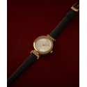 Sieviešu pulksteņi TIMEX TW2W96400 + BOX Sieviešu pulksteņi TIMEX TW2W96400 + BOX