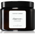 The Olphactory Forever Citrus & Shades scented candle, 360 g