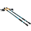 Nordic Walking Poles Scout Bjorn