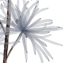 Eurofirany KW/ORGANZA/5/POP Eurofirany KW/ORGANZA/5/POP