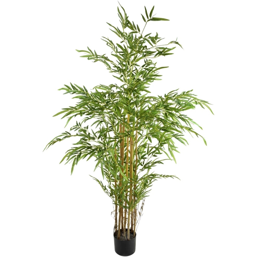 Mondex Since 1986 VIRIDIS Keinokukka BAMBU 158 cm