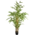 Mondex Since 1986 VIRIDIS Keinokukka BAMBU 158 cm Mondex Since 1986 VIRIDIS Keinokukka BAMBU 158 cm