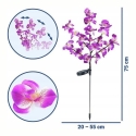Maximex PIECES Solar Powered Garden Lights, LED Orchids, 2 Piece Set, 75 cm Maximex PIECES Solar Powered Garden Lights, LED Orchids, 2 Piece Set, 75 cm