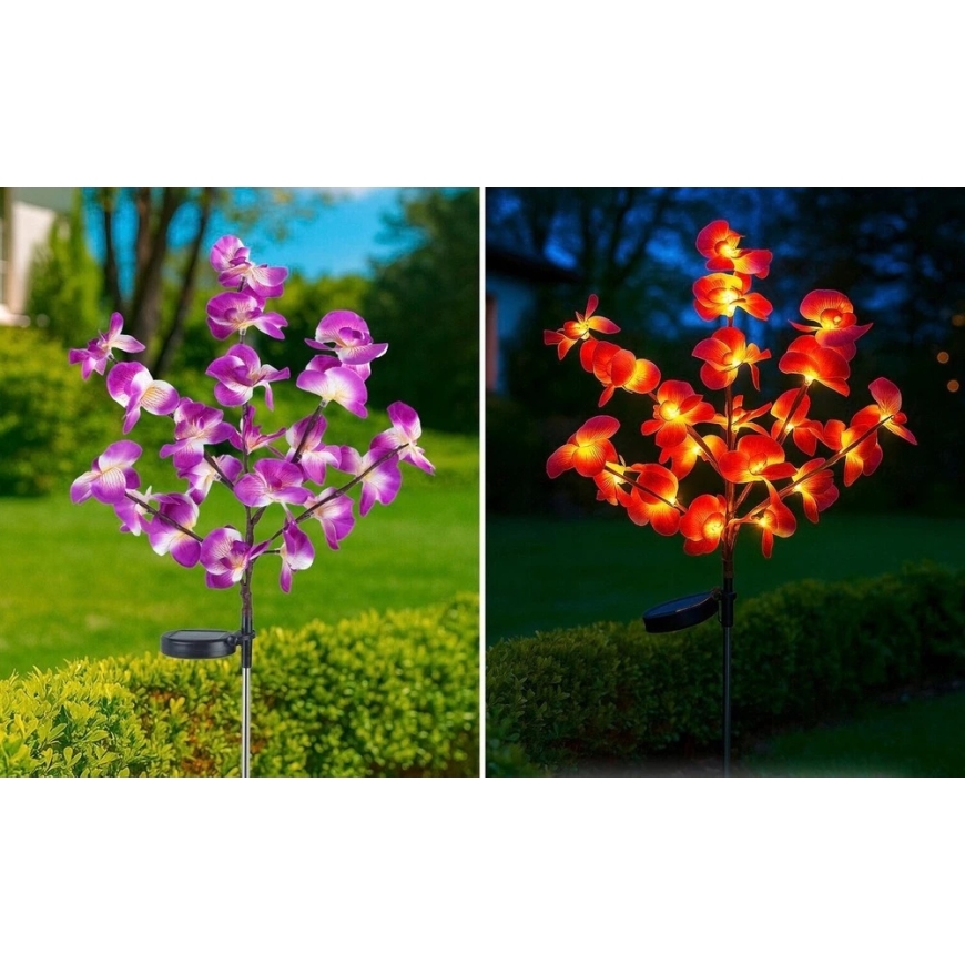 Maximex PIECES Päikeseenergial töötavad aiavalgustid, LED orhideed, 2-osaline komplekt, 75 cm – 4