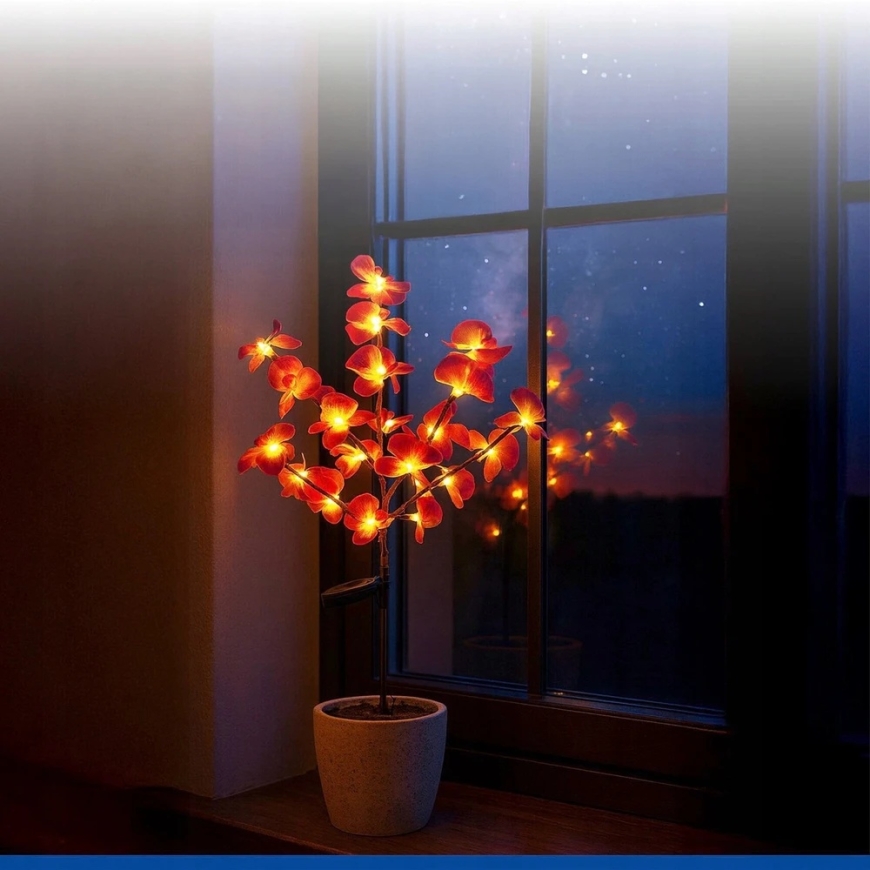 Maximex PIECES Saulės energija varomi sodo šviestuvai, LED orchidėjos, 2 dalių rinkinys, 75 cm – 5