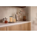 Woodwick Mandarinas ir citrina Woodwick Mandarinas ir citrina