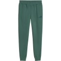Pants for Men Puma ESS 2 Color No.1 Logo Green 684713 90 (2XL) Pants for Men Puma ESS 2 Color No.1 Logo Green 684713 90 (2XL)