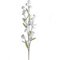 Eurofirany KW/FLORE/863/POP POPI Eurofirany KW/FLORE/863/POP POPI