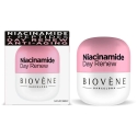 "Biovene Niacinamide" anti-aging day moisturizer, 50 ml "Biovene Niacinamide" anti-aging day moisturizer, 50 ml