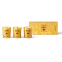 Acqua Di Parma Holiday Candle Trio ароматические свечи, 3 x 70 г Acqua Di Parma Holiday Candle Trio ароматические свечи, 3 x 70 г