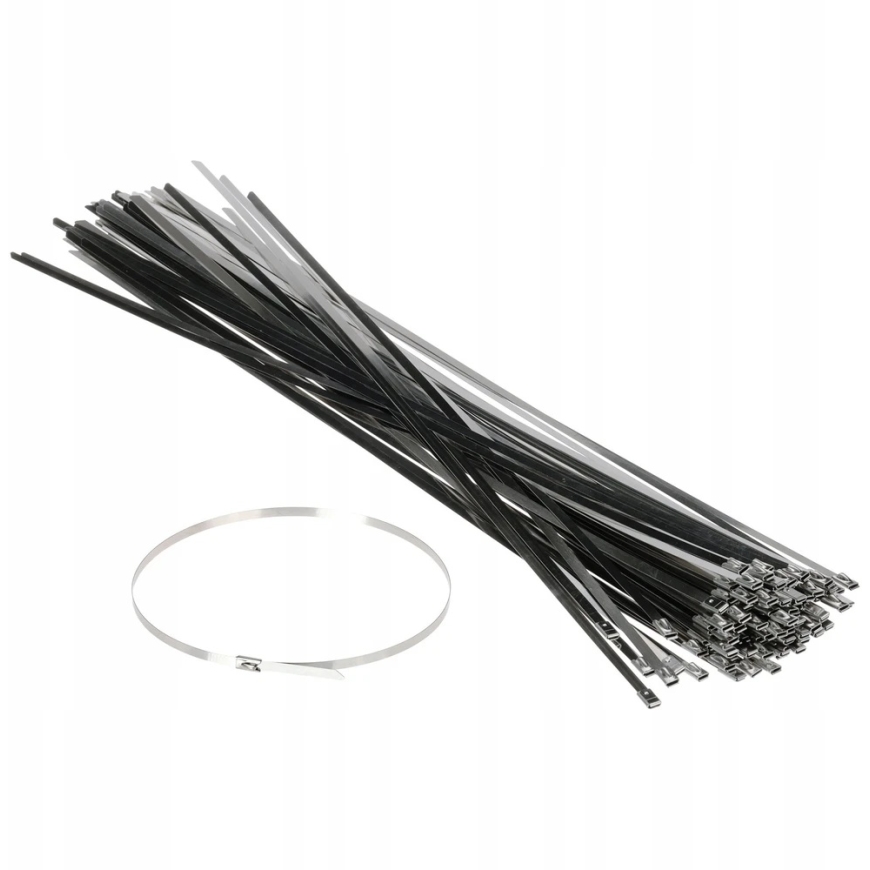 Delta Montage Apti Itst METAL STRAP SSCT-450X4.6 100 PCS. DELTA MOUNTING