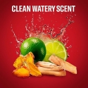 Old Spice White Water Clear Gel Antiperspirant 70 ml Old Spice White Water Clear Gel Antiperspirant 70 ml