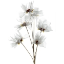 Eurofirany KW/ORGANZA/12/SR HÕBEDANE Eurofirany KW/ORGANZA/12/SR HÕBEDANE