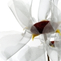 Eurofirany KW/ORGANZA/12/SR SILVER Eurofirany KW/ORGANZA/12/SR SILVER