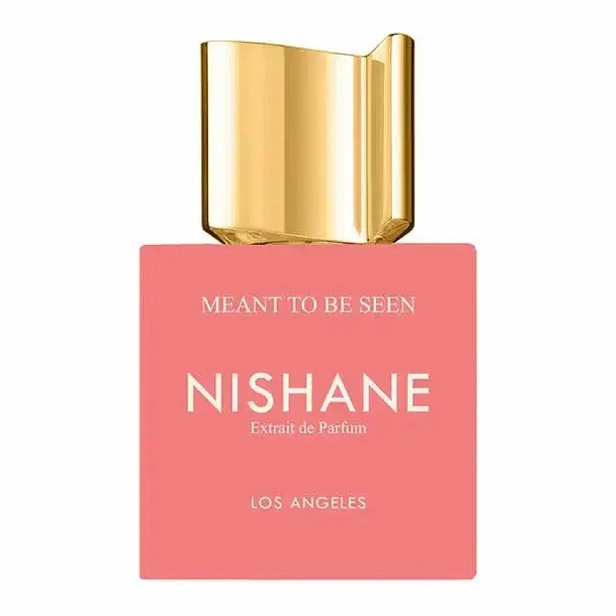 Nishane Meant To Be Seen Extrait De Parfum Spray 100ml