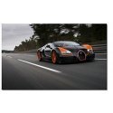 RASTAR 1:24 RC car model operated by Bugatti Grand Sport Vitesse (WRC), 47000