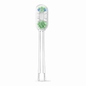 RANVOO насадка для зубной щетки PQ5 - зеленая RANVOO насадка для зубной щетки PQ5 - зеленая